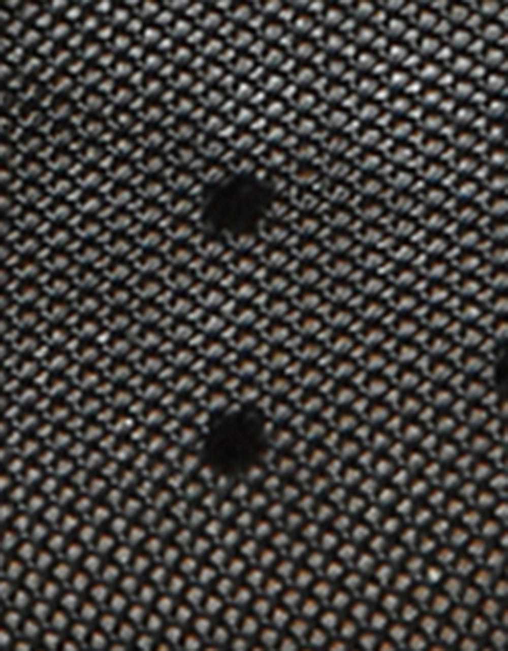 SETH BLACK - Image 8